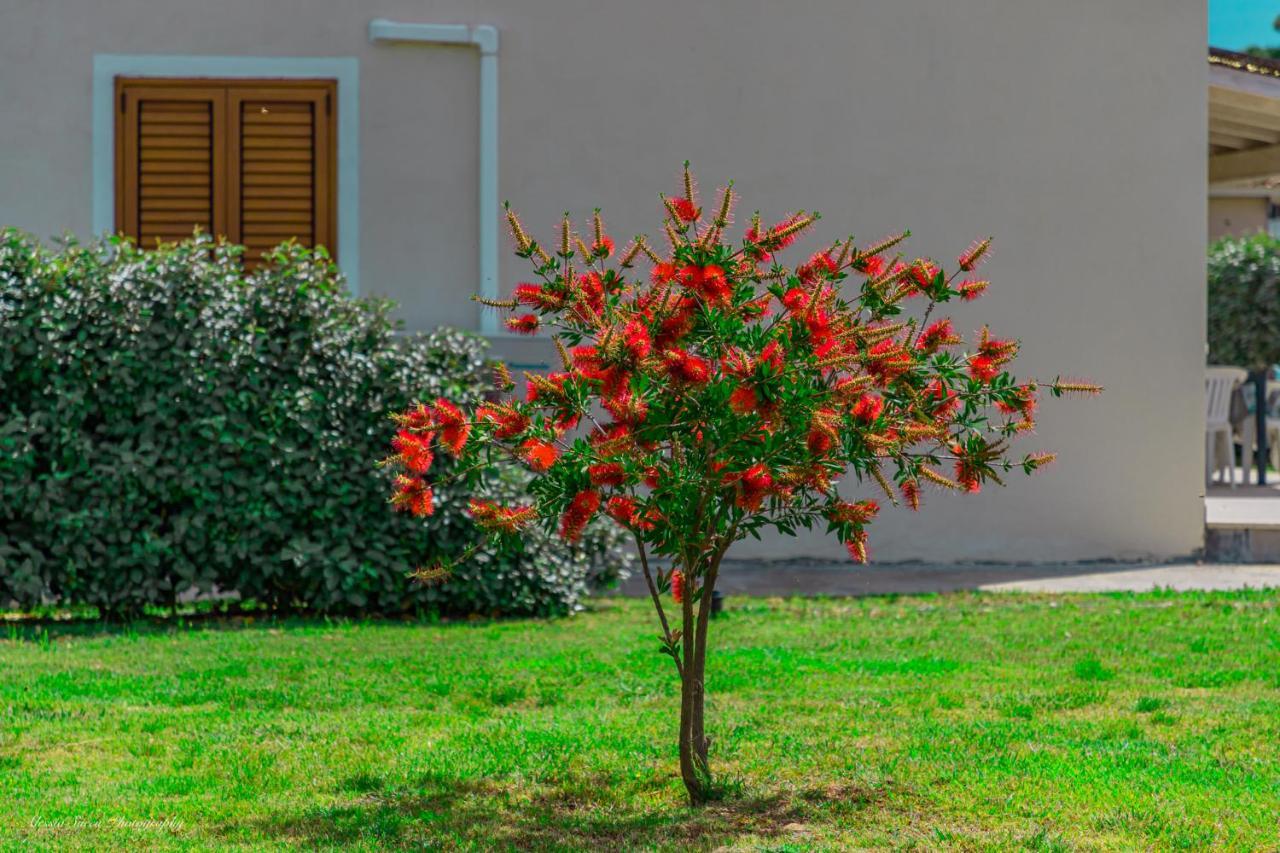 Stella Marina Budoni Exterior foto